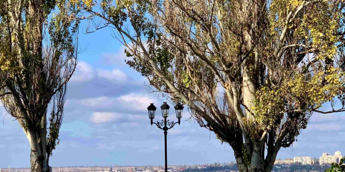 pexels-a-2149158987-35136101